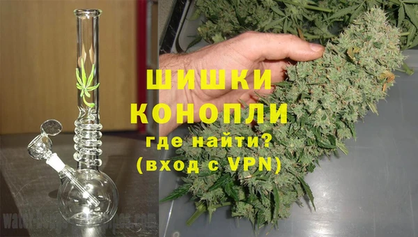 ешки Бронницы