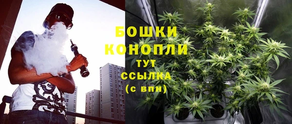 ешки Бронницы